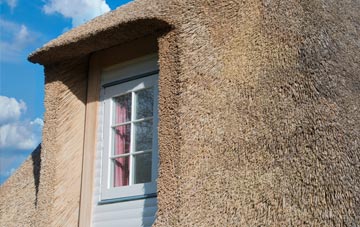 Plasters Green thatch roof disadvantages